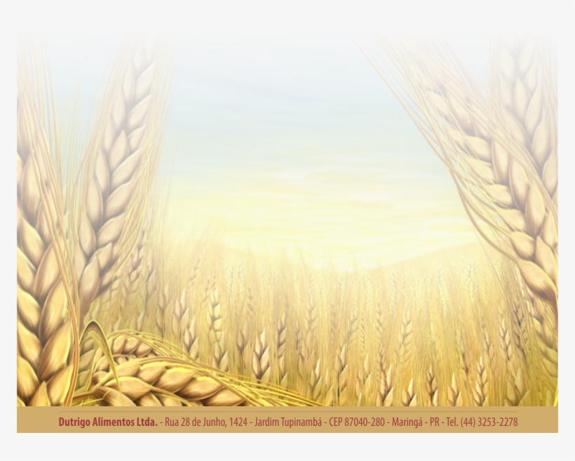 Dutrigo - - - - Wallpaper, transparent png #2013679