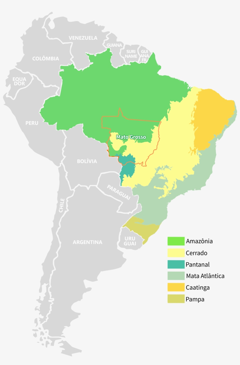 Mato Grosso, Brazil, South America - Brazil, transparent png #2013942