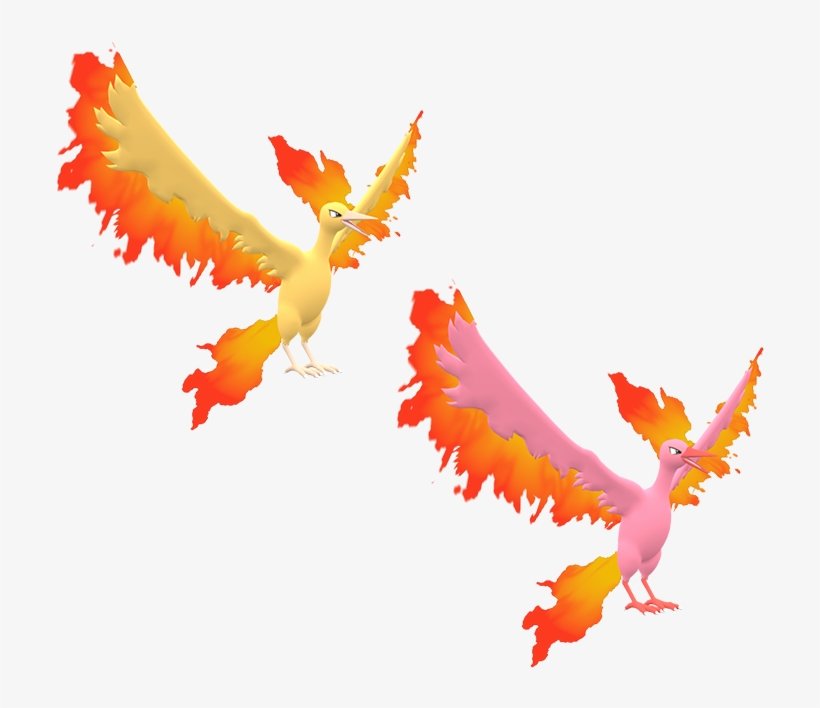 Download Zip Archive - Pokémon X And Y, transparent png #2014501