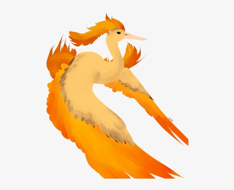Transparent Moltres Doodle Cause I Was Bored And Didnt - Illustration, transparent png #2014719