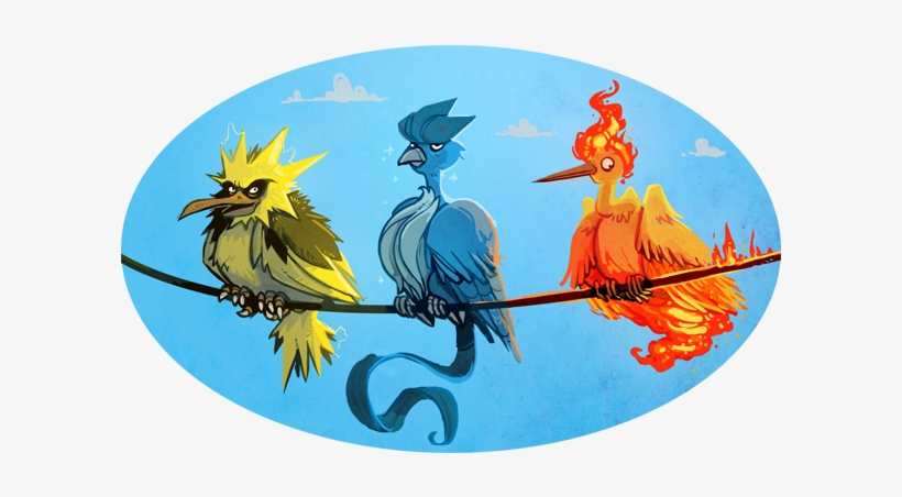 About The Author - Pokemon Team Legendary Birds, transparent png #2014723