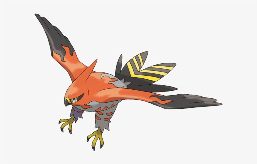 View Samegoogleiqdbsaucenao 600px-663talonflame , - Pokemon X And Y Fire Types, transparent png #2014798