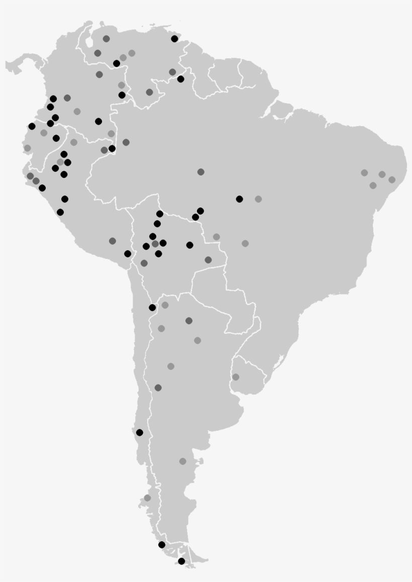 Isolates South America - Short Tailed Chinchilla, transparent png #2014869