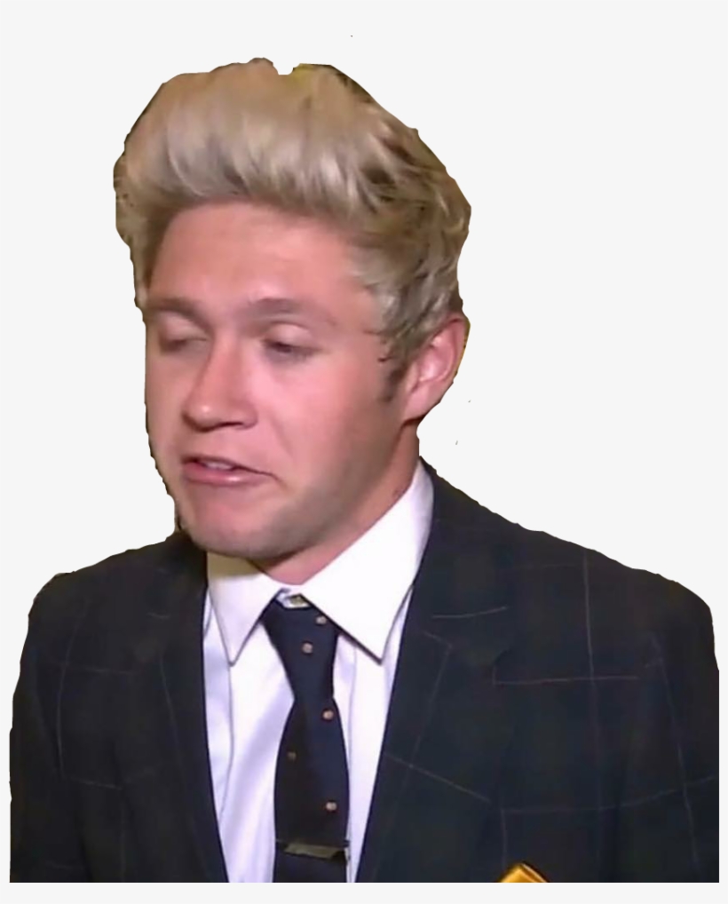 Niall Horan Niallhoran Niall Horan Nialler Flicker - Niall Horan, transparent png #2015450