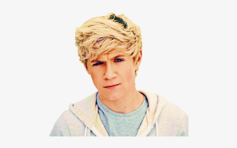 1. "Blonde Hair Teenage Male" by Niall Horan - wide 1