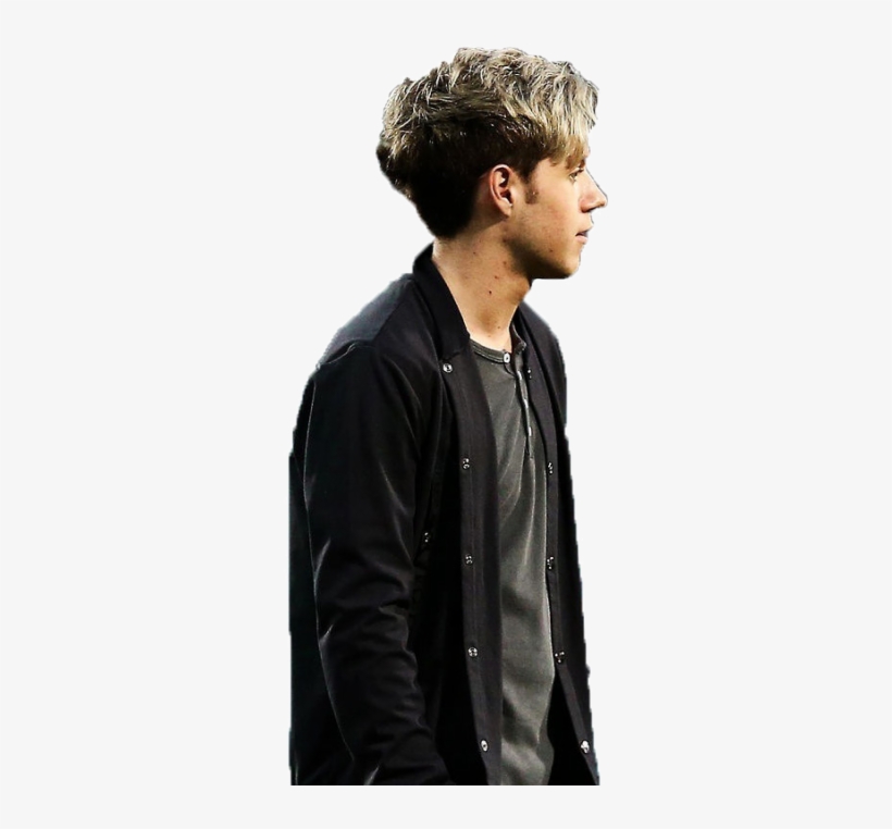 Niall Horan, transparent png #2015742