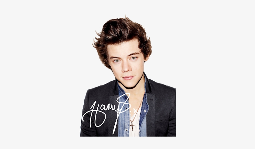 Zayn Malik Png Pack Tomlinson Png Do Niall Horan Png - Harry Styles One Direction 2010, transparent png #2015992