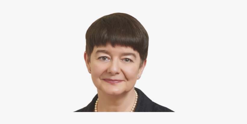 Kim Franklin Qc - Franklin Kim, transparent png #2016240