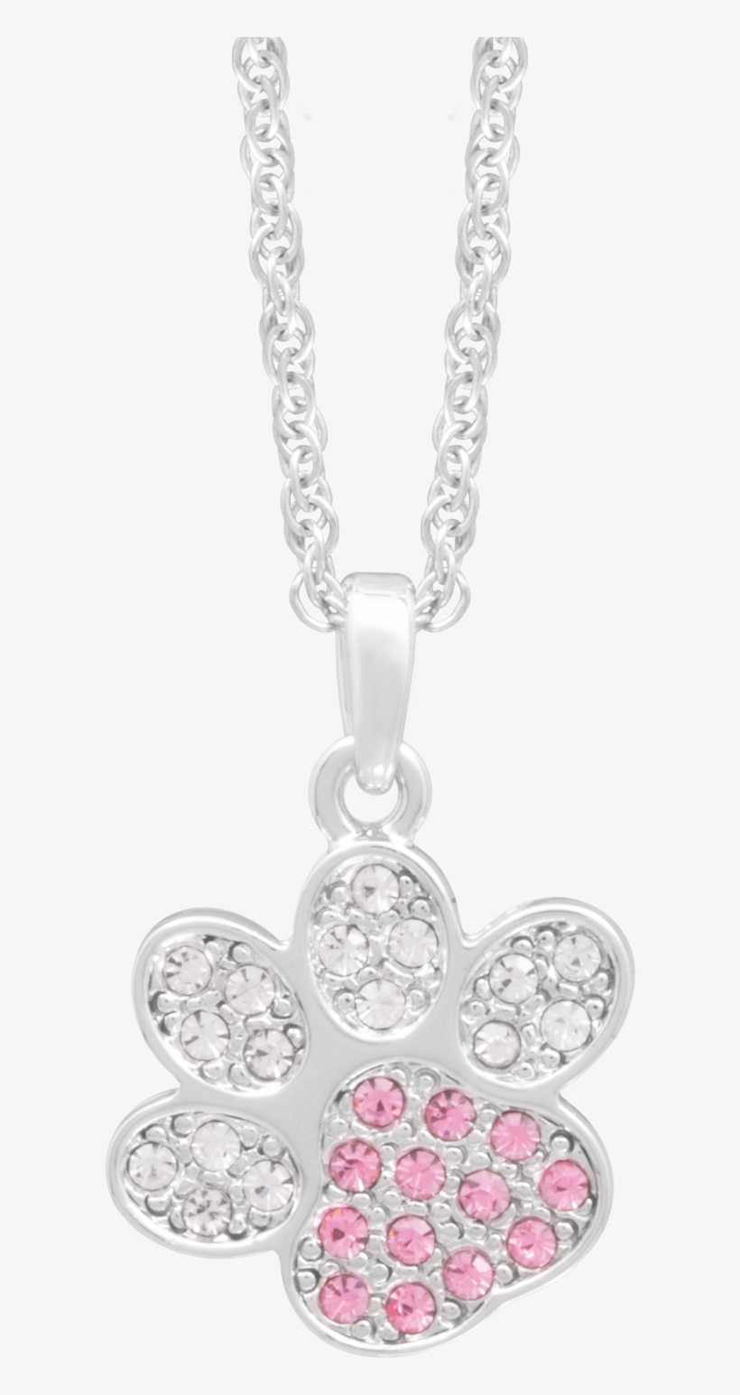 Dog Paw - Dog, transparent png #2016751