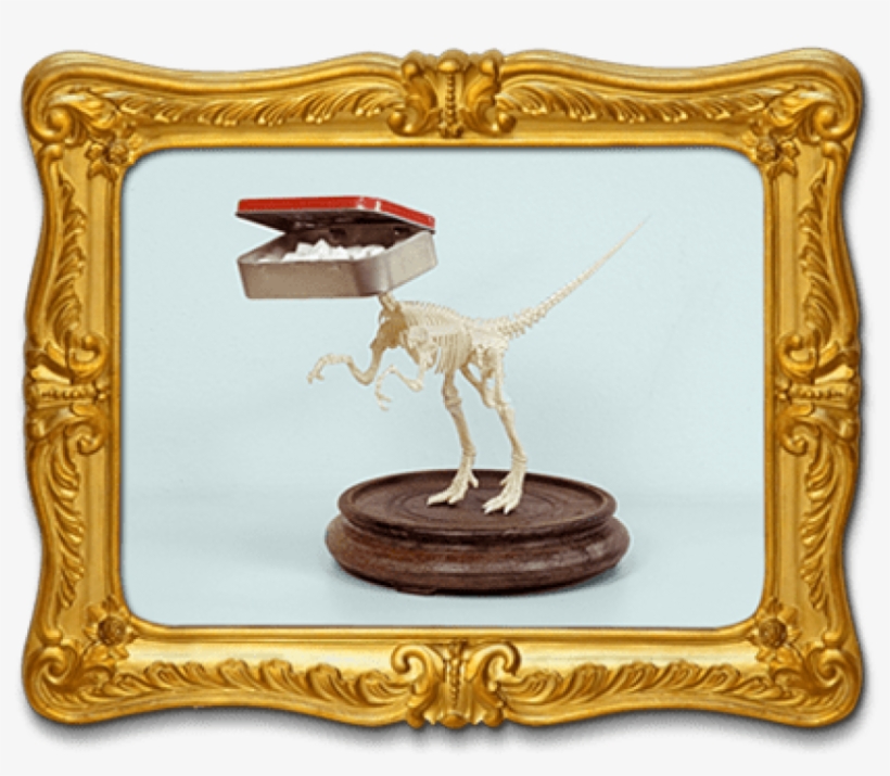 After I Did A Blog Post Last Week On A Unicycle I'd - Picture Frame, transparent png #2018226