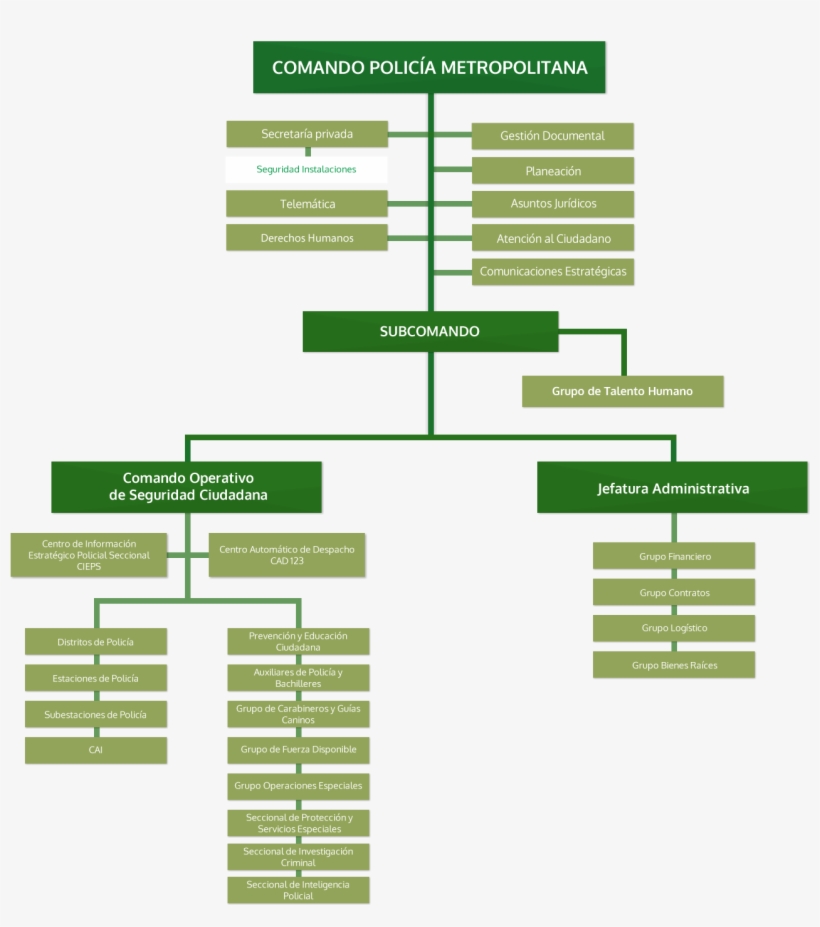 Organigrama - Organigrama De La Policia Nacional, transparent png #2018322