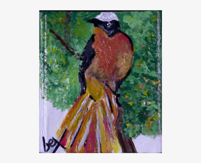 "white Crowned Robin" - Painting, transparent png #2018740