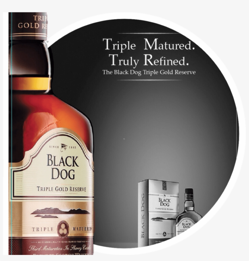 Bd Tgr Definitely Converts Bw Moments Into Colour - Black Dog Triple Gold Reserve, transparent png #2018762