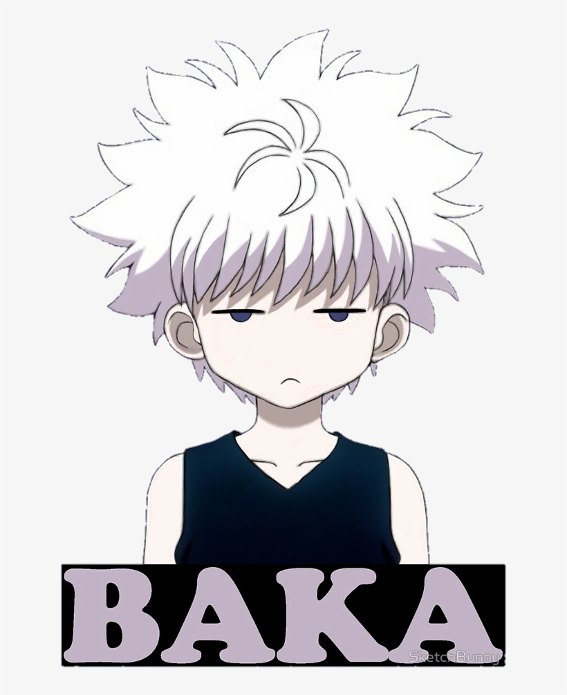 Report Abuse - Hunter X Hunter Killua Baka.