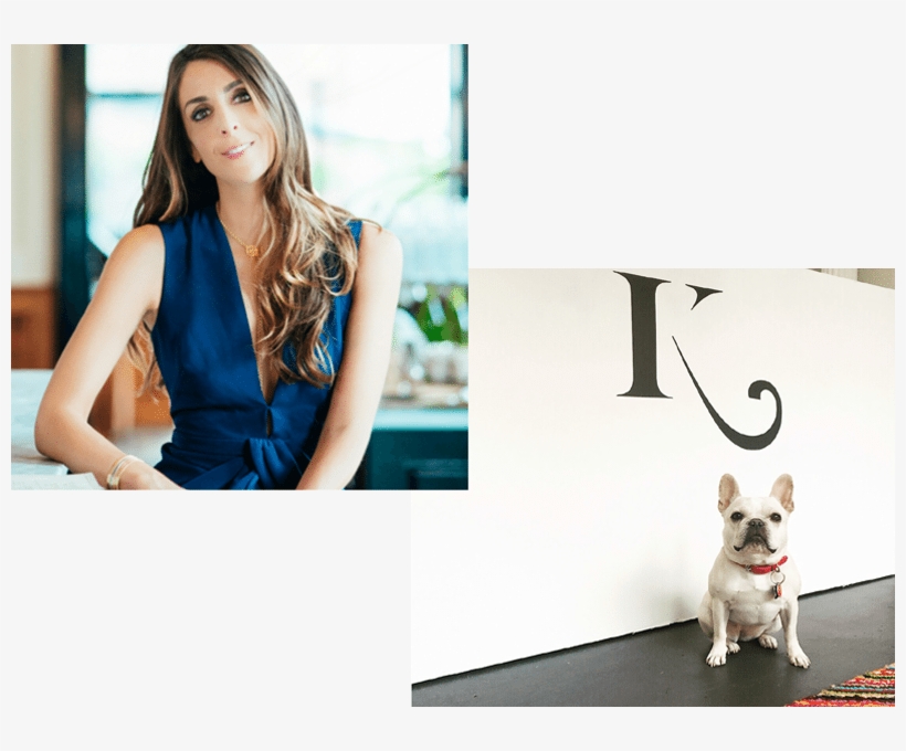 High - French Bulldog, transparent png #2019468