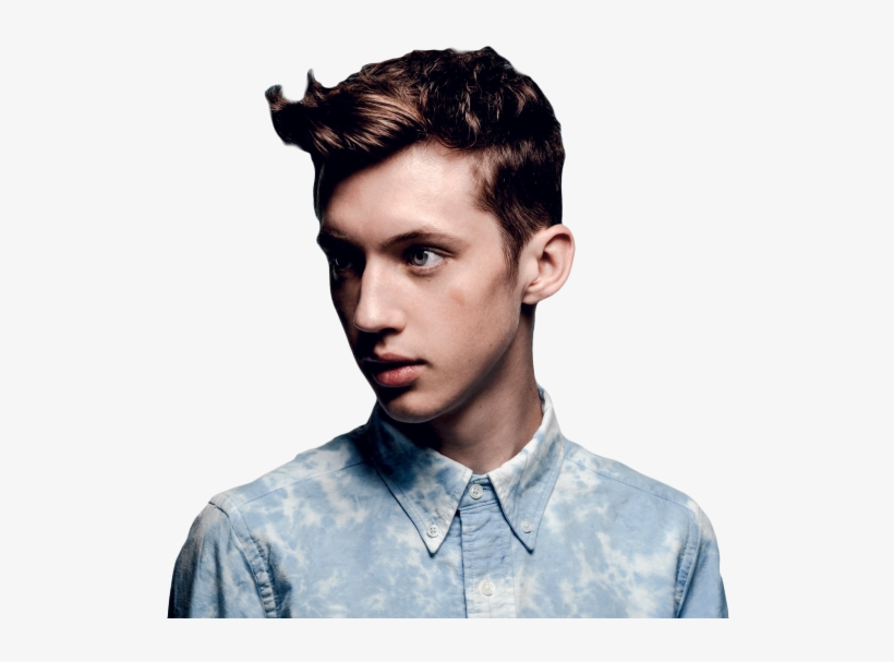 Troye Sivan Transparent - Troye Siva, transparent png #2020634