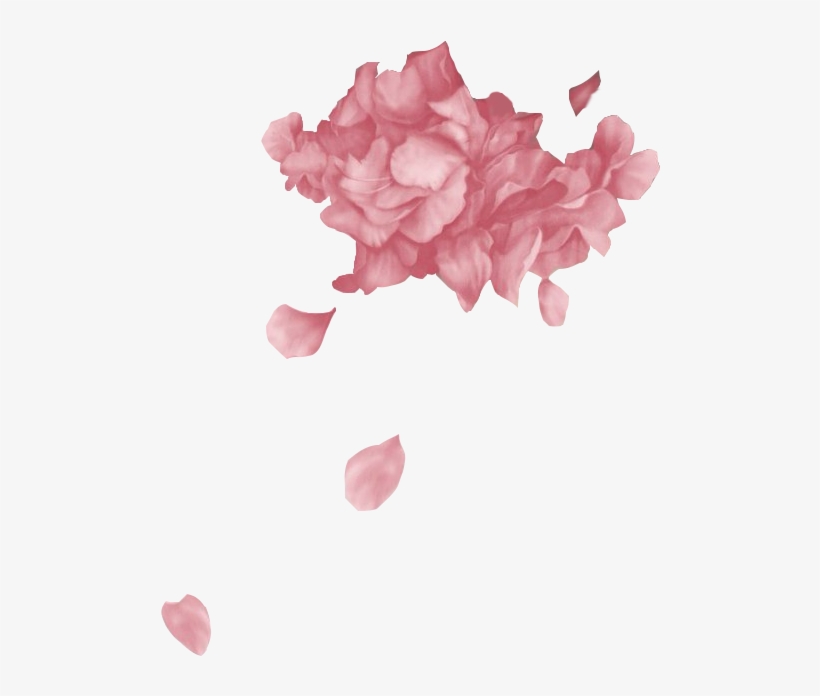 #troyesivan #wild #flowers - Fools Troye Sivan Png, transparent png #2020790