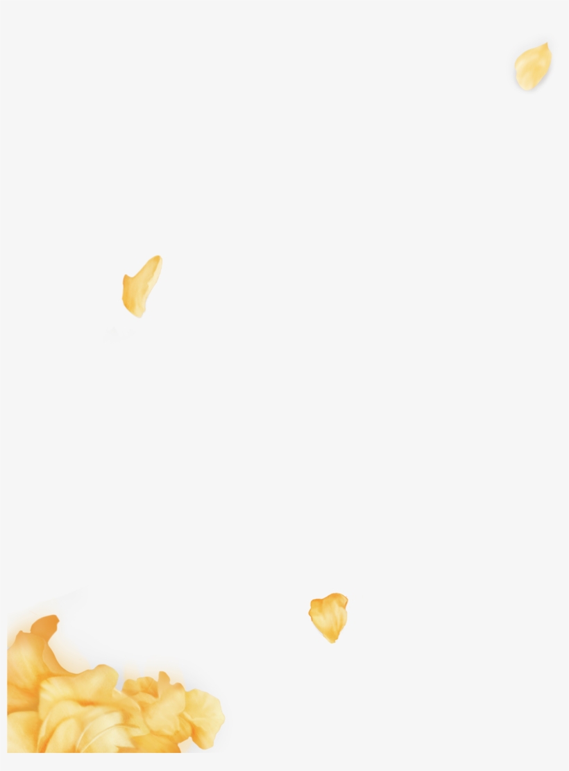 Phstwt0 - Cookie, transparent png #2020795