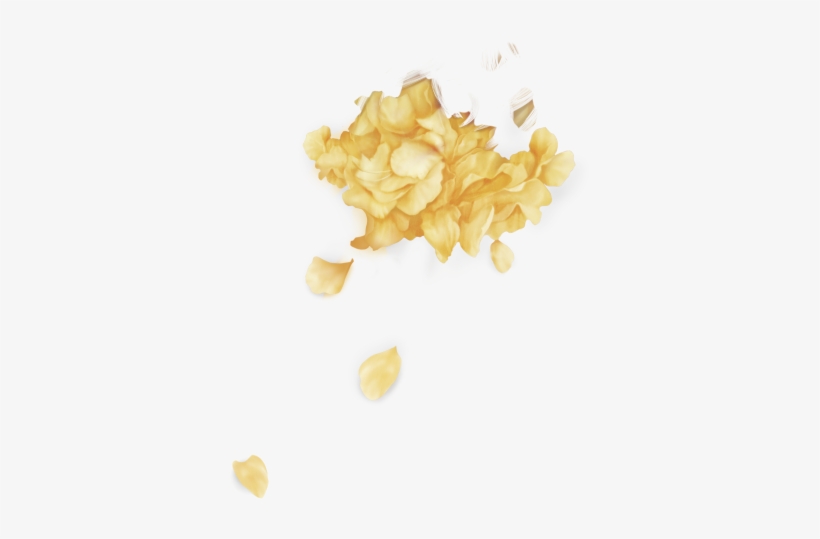 #troye Sivan #wild #лепестки - Troye Sivan Petals Png, transparent png #2020816