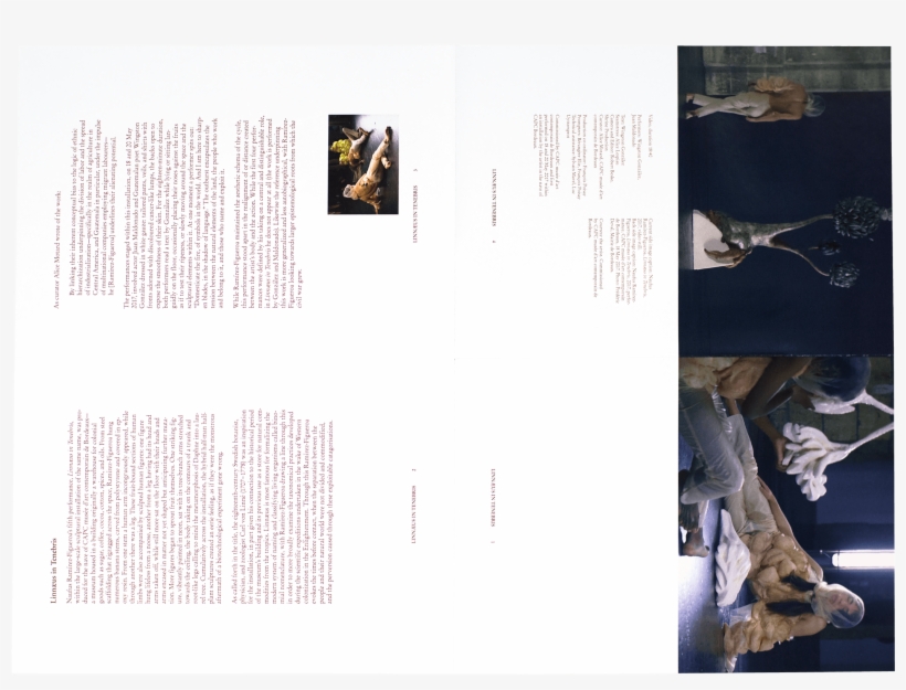 Requíem For Mirrors And Tigers Studio Manuel Raeder - Elephant, transparent png #2021334