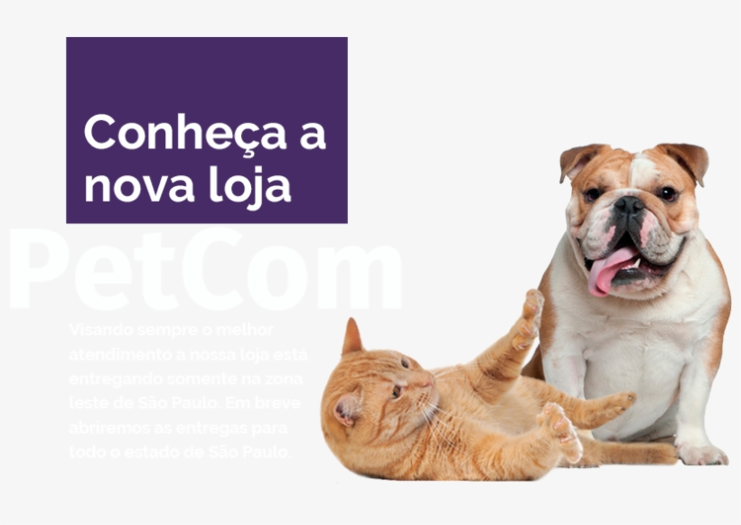 Petcom Banner Sem Fundo - Petacc Waterproof And Washable Pet Food Mat Silicone, transparent png #2025196