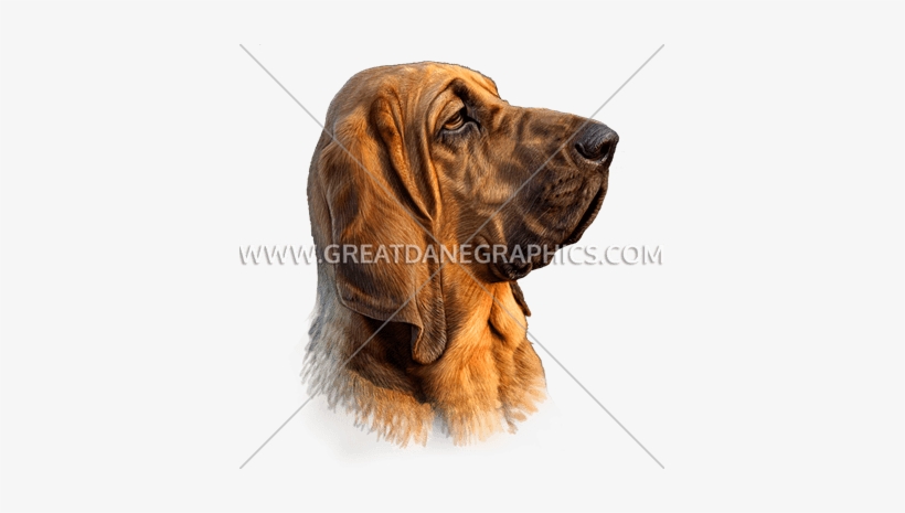 Hound Dog - Hound Dog Unique Strength; Excellent Scent Recognition, transparent png #2025288