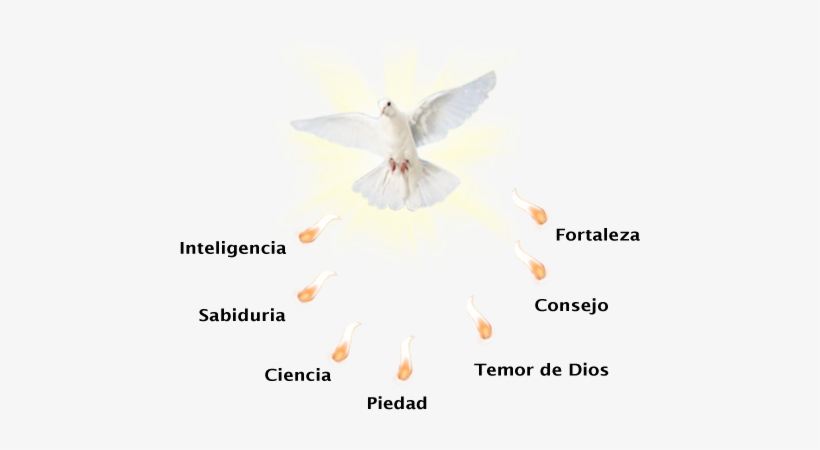 Espiritu Santo En Png, transparent png #2026346