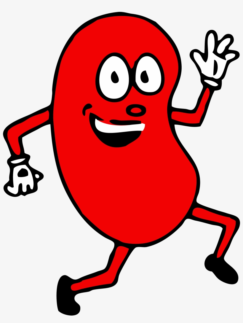 You Gotta Be Kidney Me Living Donation, Resources And - Kidney Thank You Cards, transparent png #2027861