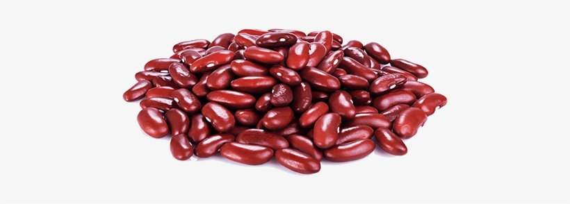 Kidney Beans Png - Red Kidney Bean Png, transparent png #2028174