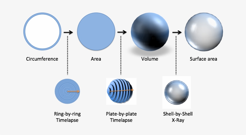 Https - //betterexplained - - Circle, transparent png #2028267