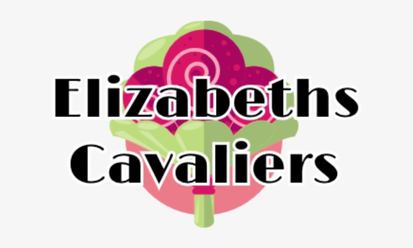 Pets 4 You - Cavalier King Charles Spaniel, transparent png #2030748