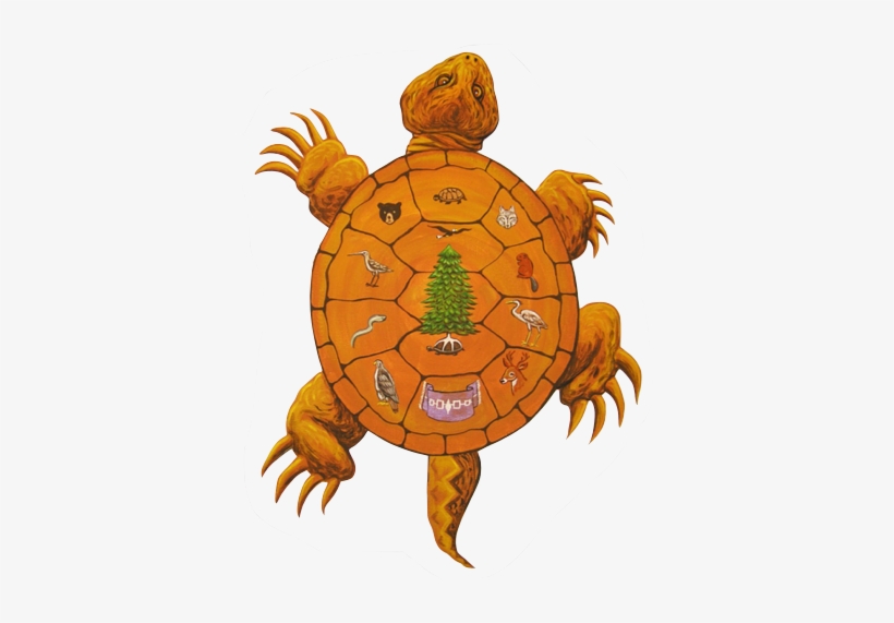 Dreamcatcher Clipart Iroquois - Iroquois Turtle, transparent png #2030818