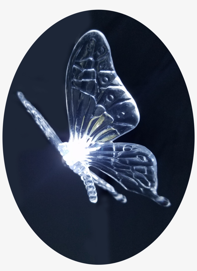 Fairy Butterfly 12 X White Colour Led String Lights - Vv Hoogland, transparent png #2031637