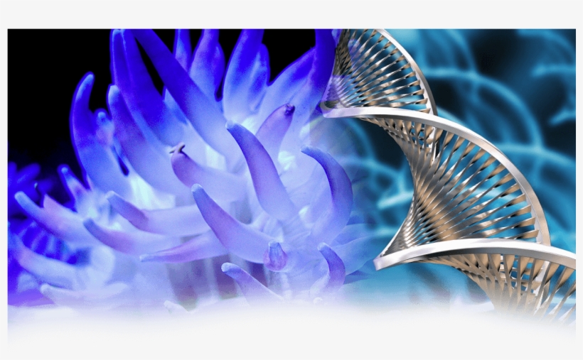 Thursday - Biotechnology Lactose Free Milk, transparent png #2031640