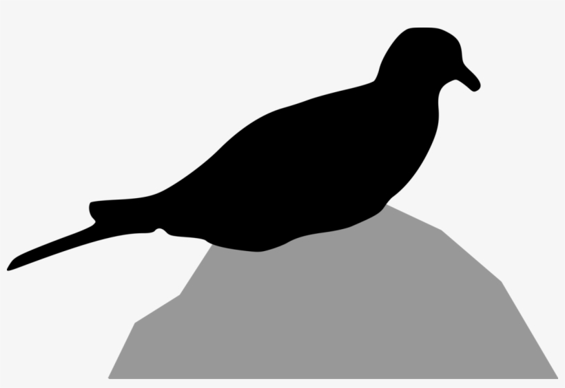 Columbidae Bird Mourning Dove European Turtle Dove - ภาพ เงา สัตว์ กราฟฟิก, transparent png #2032467