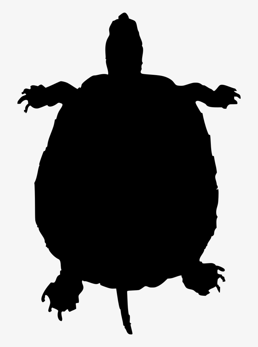 Download Png - Green Turtle Shower Curtain, transparent png #2032578