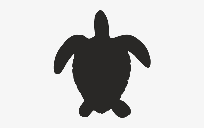 14733186423 Sea Animals 03 - Kemp's Ridley Sea Turtle, transparent png #2032618