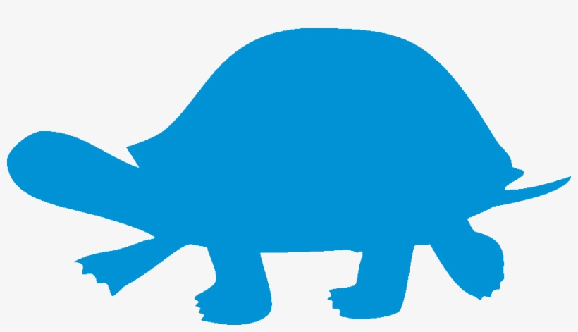 Png Freeuse Download Drawing At Getdrawings Com Free - Tortoise Icon Png, transparent png #2032738