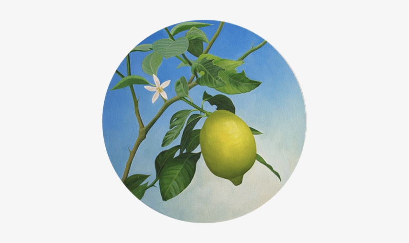 Limonero - Oil Painting, transparent png #2033631