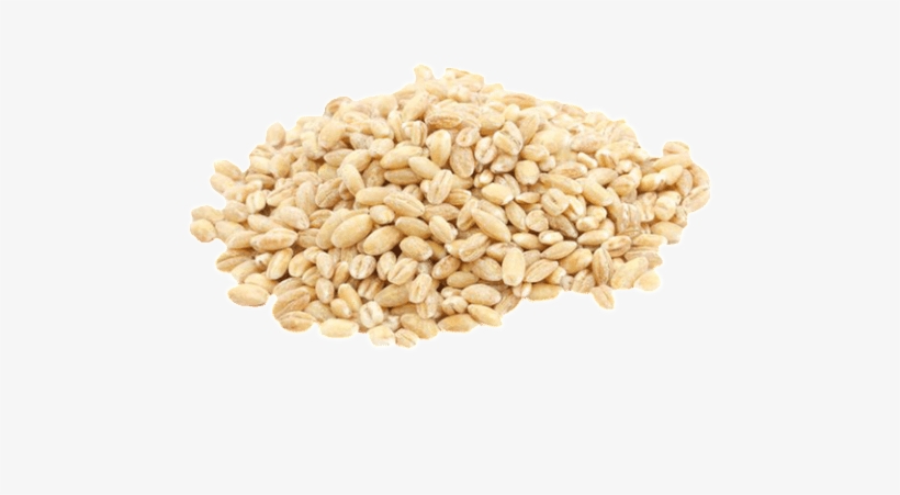 Barley Png Photo - Food To Live Pearl Barley (hulled) (10 Pounds), transparent png #2033936