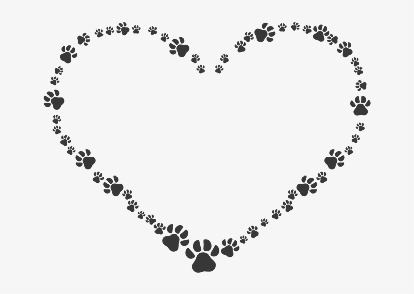 Your Fur Baby - Pet Sympathy, transparent png #2034057