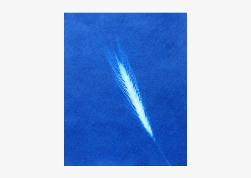 I - Sea, transparent png #2034230