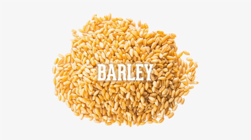 1956349498 - Emmer, transparent png #2034478