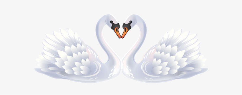 Valentine Swans Png Clipart - Heart Swan Clipart, transparent png #2034970