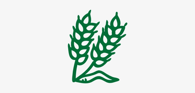 Summit Brewing Company, transparent png #2035050