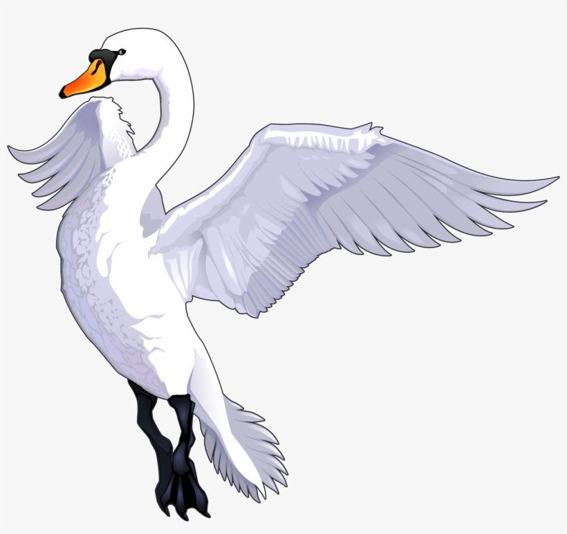 Share This Article - Swan Flying, transparent png #2035150