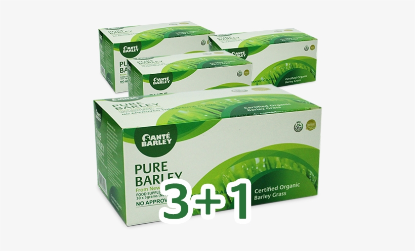 Sante Barley Grass New Zealand Product Pure Barley - Sante Barley Pure Barley, transparent png #2035151