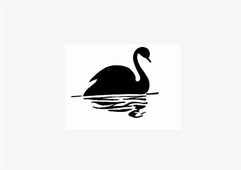 Calm Mystic Black Swan With Its Reflection In Water - Black Swan Animal Cartoon, transparent png #2035216