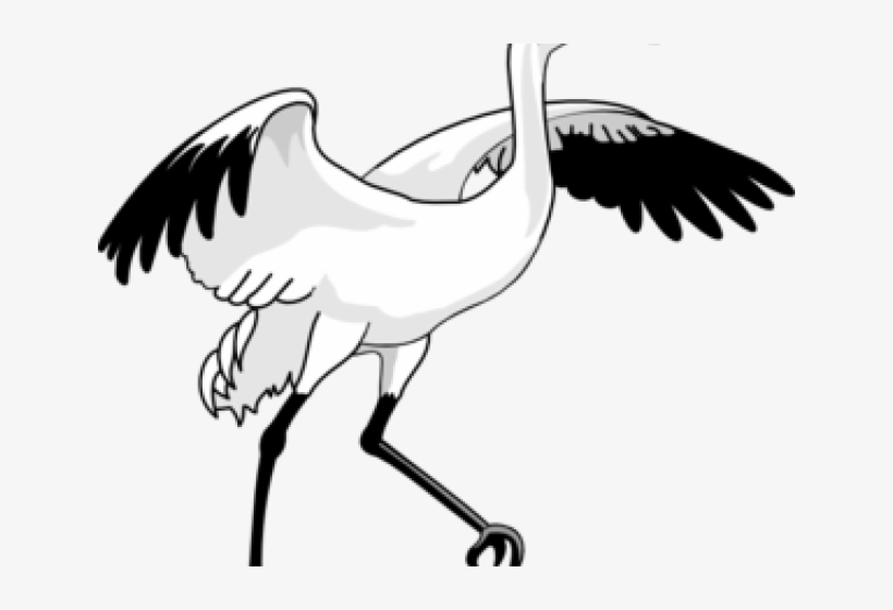 Swan Clipart Standing - Whooping Crane Clip Art, transparent png #2035236