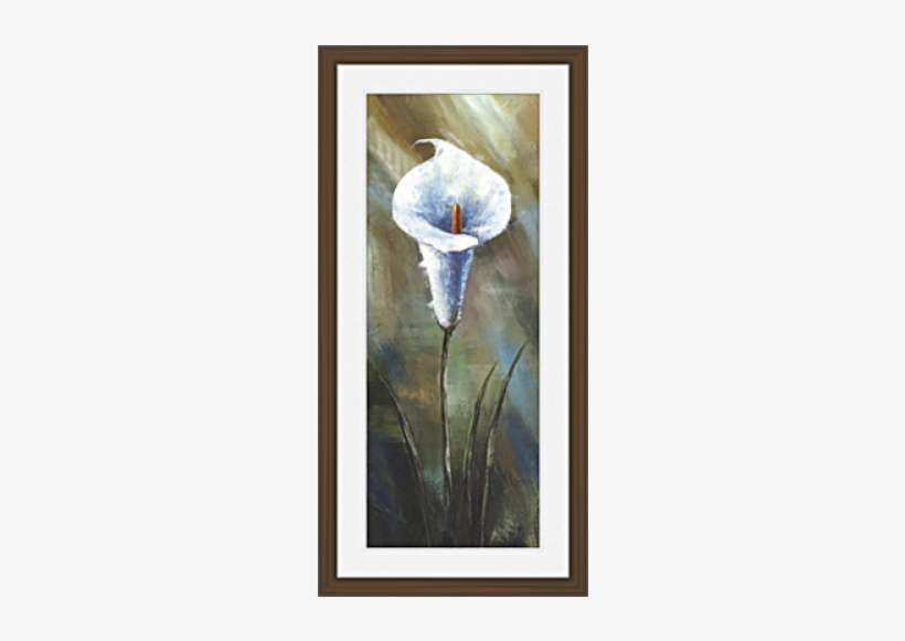 Picture Frame, transparent png #2035310